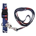 pet collar